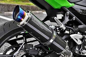 トゥーン BEAMS G436-54-P2J ZX25R SE 8BK-ZX250H スリップオン R-EVO2